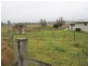 12 Potter Ave, Emmaville NSW 2371