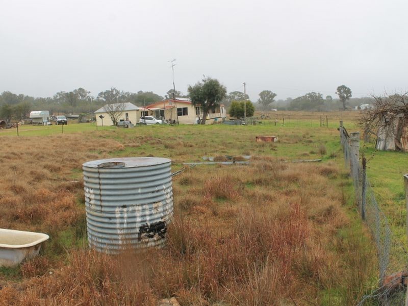 12 Potter Ave, Emmaville NSW 2371
