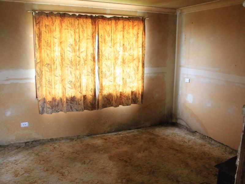 12 Potter Ave, Emmaville NSW 2371
