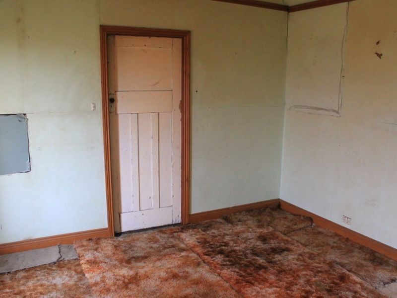 12 Potter Ave, Emmaville NSW 2371
