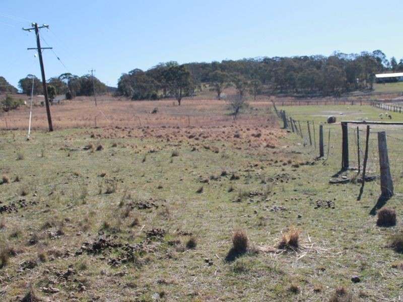 Lots 113-1 Cnr Torrington Rd & Wellington Vale Rd, Emmaville NSW 2371