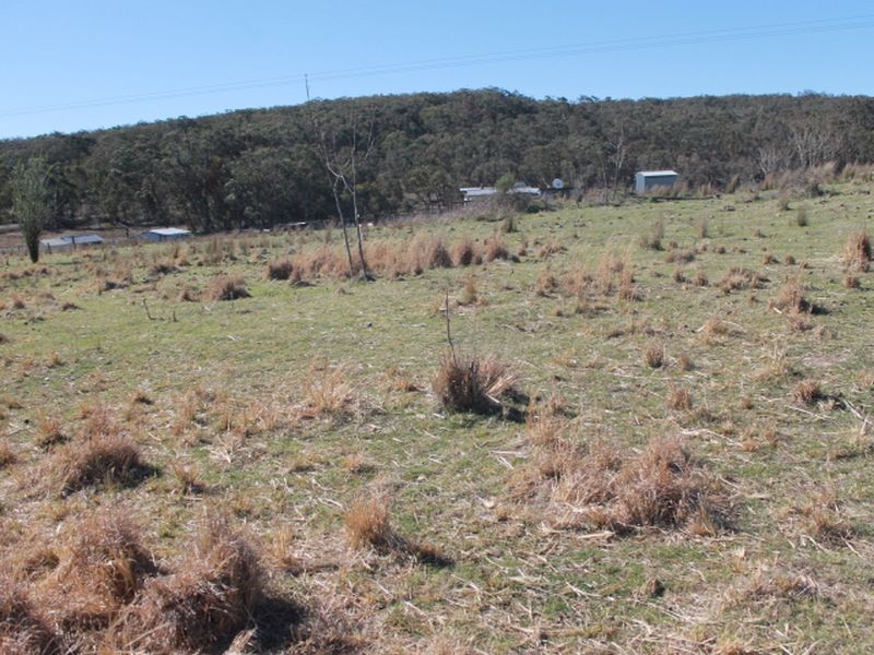 Lots 113-1 Cnr Torrington Rd & Wellington Vale Rd, Emmaville NSW 2371