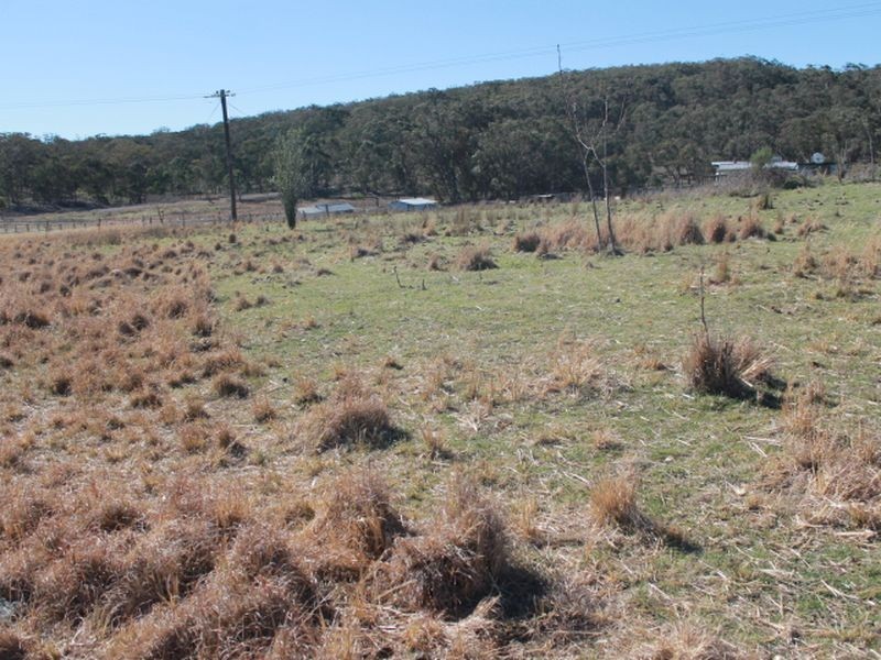 Lots 113-1 Cnr Torrington Rd & Wellington Vale Rd, Emmaville NSW 2371