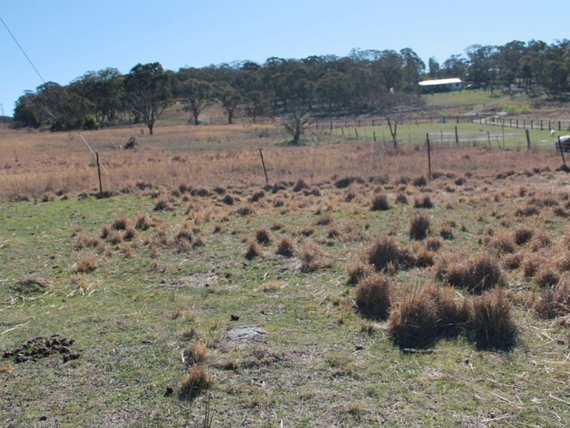 Lots 113-1 Cnr Torrington Rd & Wellington Vale Rd, Emmaville NSW 2371