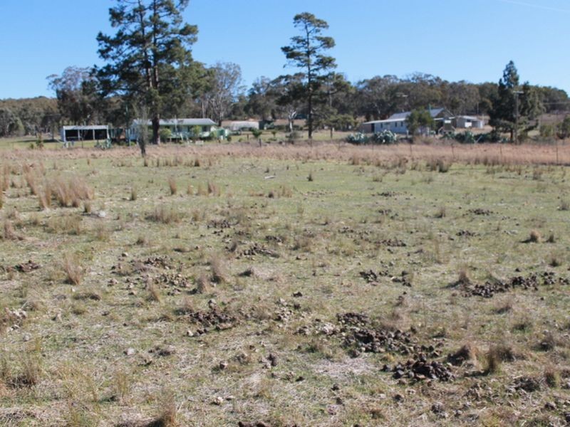 Lots 113-1 Cnr Torrington Rd & Wellington Vale Rd, Emmaville NSW 2371