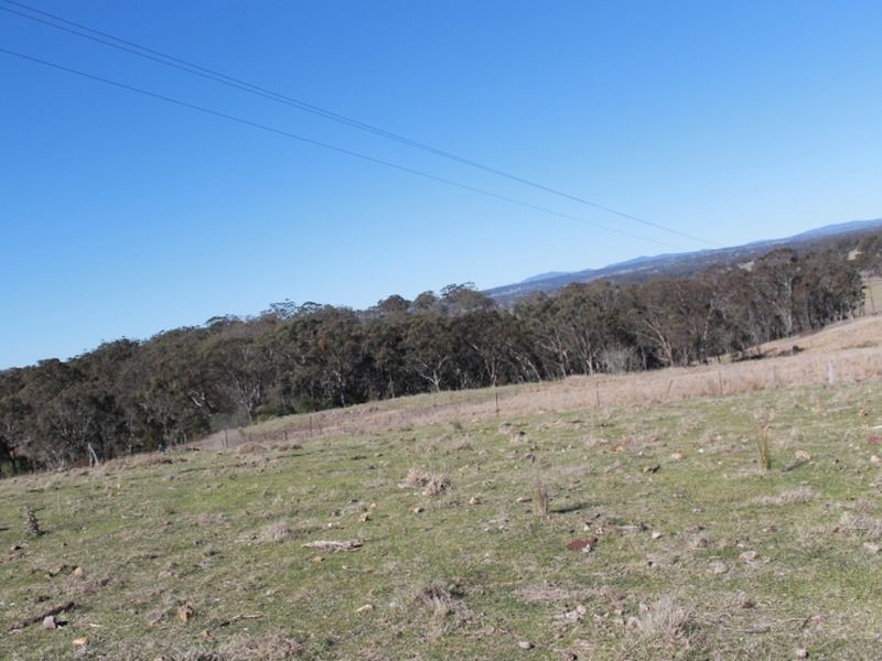 Lots 113-1 Cnr Torrington Rd & Wellington Vale Rd, Emmaville NSW 2371