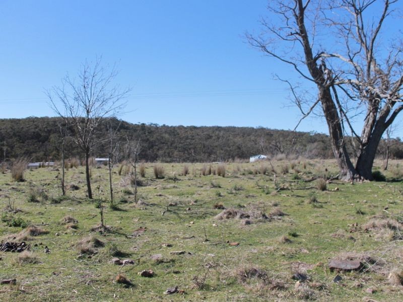 Lots 113-1 Cnr Torrington Rd & Wellington Vale Rd, Emmaville NSW 2371