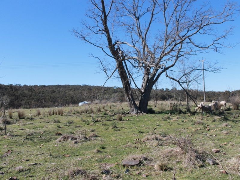 Lots 113-1 Cnr Torrington Rd & Wellington Vale Rd, Emmaville NSW 2371