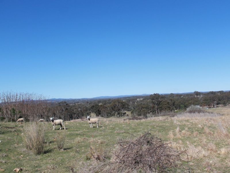 Lots 113-1 Cnr Torrington Rd & Wellington Vale Rd, Emmaville NSW 2371