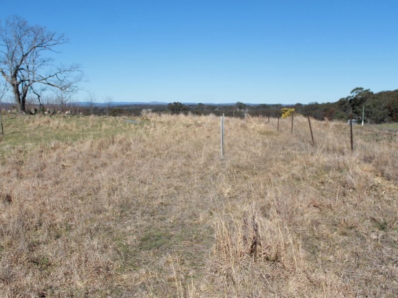 Lots 113-1 Cnr Torrington Rd & Wellington Vale Rd, Emmaville NSW 2371