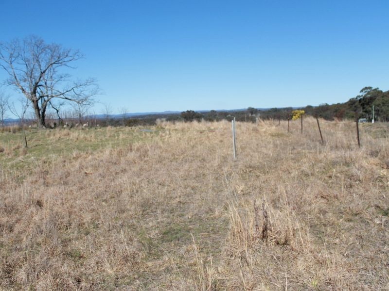 Lots 113-1 Cnr Torrington Rd & Wellington Vale Rd, Emmaville NSW 2371