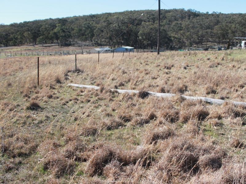Lots 113-1 Cnr Torrington Rd & Wellington Vale Rd, Emmaville NSW 2371