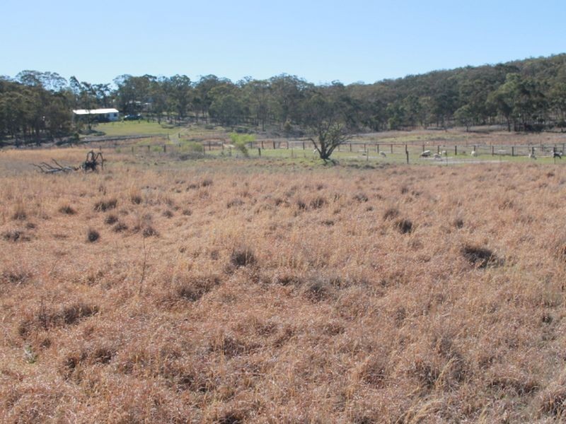 Lots 113-1 Cnr Torrington Rd & Wellington Vale Rd, Emmaville NSW 2371