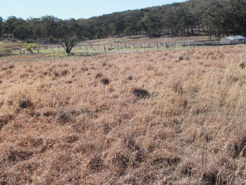 Lots 113-1 Cnr Torrington Rd & Wellington Vale Rd, Emmaville NSW 2371