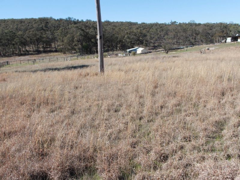 Lots 113-1 Cnr Torrington Rd & Wellington Vale Rd, Emmaville NSW 2371