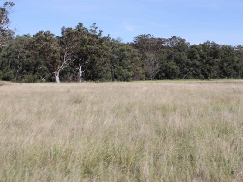 113 Summerville Rd, Emmaville NSW 2371