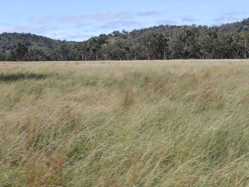 113 Summerville Rd, Emmaville NSW 2371