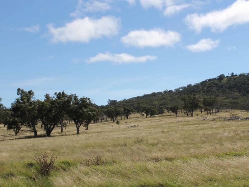 113 Summerville Rd, Emmaville NSW 2371