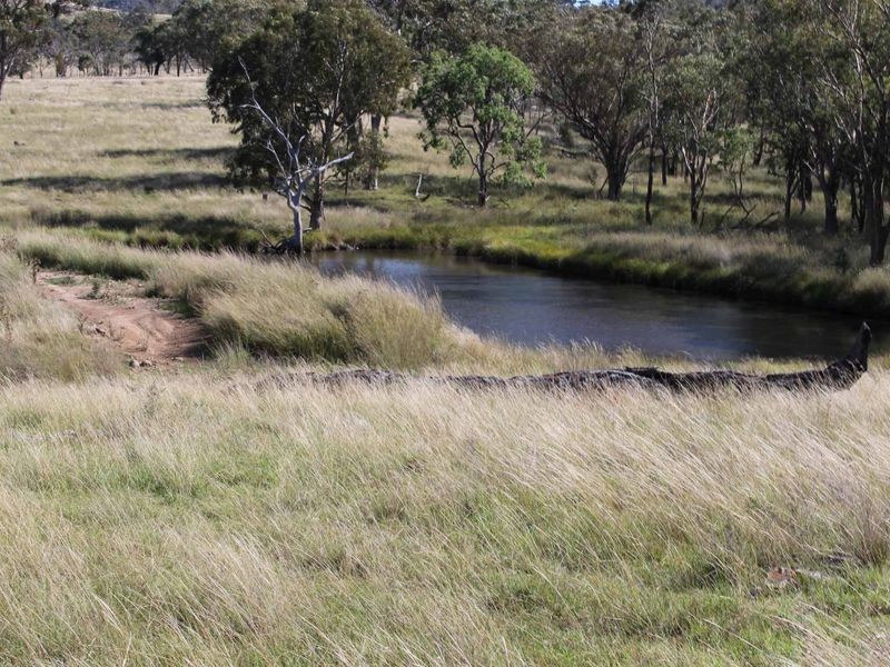 113 Summerville Rd, Emmaville NSW 2371