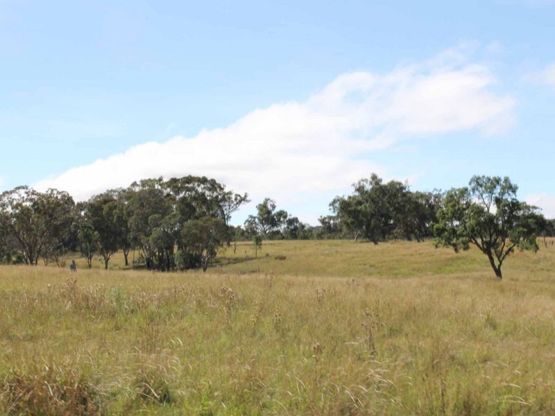 113 Summerville Rd, Emmaville NSW 2371