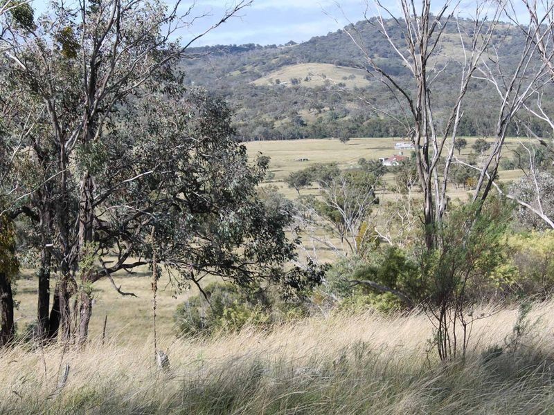 113 Summerville Rd, Emmaville NSW 2371