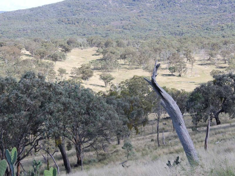 113 Summerville Rd, Emmaville NSW 2371