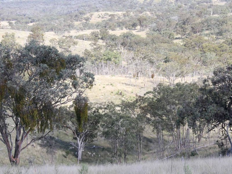 113 Summerville Rd, Emmaville NSW 2371