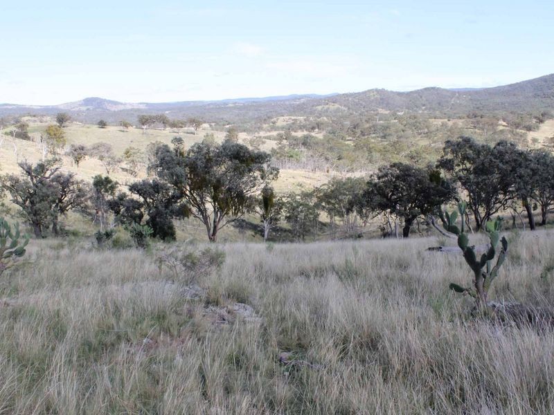 113 Summerville Rd, Emmaville NSW 2371