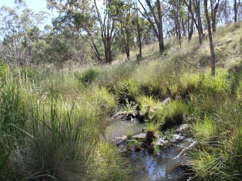 113 Summerville Rd, Emmaville NSW 2371