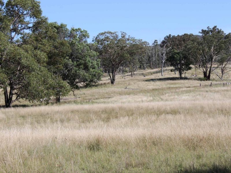 113 Summerville Rd, Emmaville NSW 2371