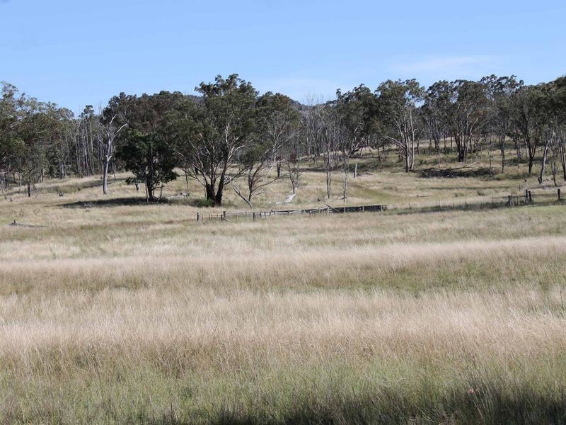 113 Summerville Rd, Emmaville NSW 2371