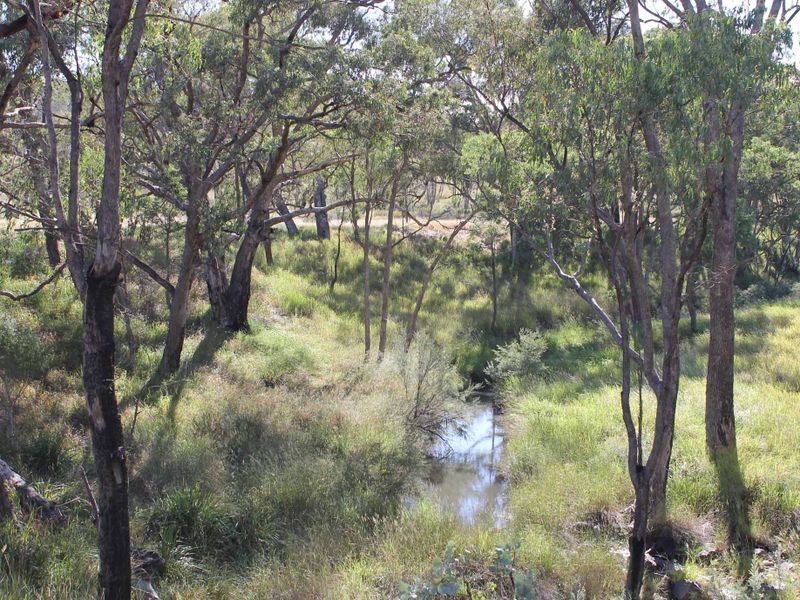 113 Summerville Rd, Emmaville NSW 2371