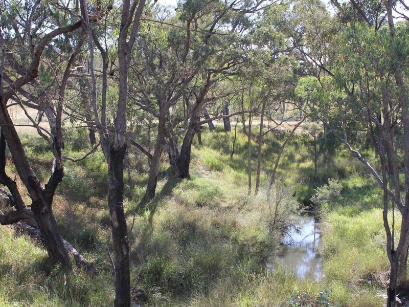 113 Summerville Rd, Emmaville NSW 2371