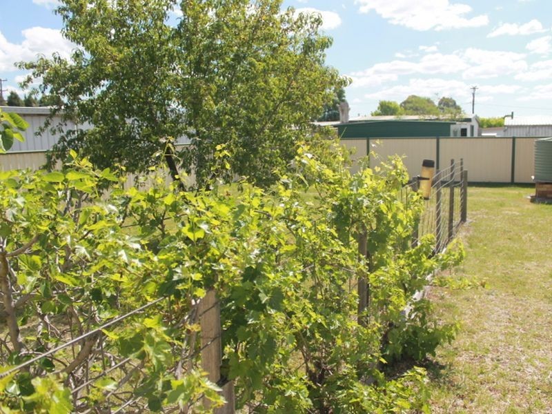 9 Digby Street, Glen Innes NSW 2370