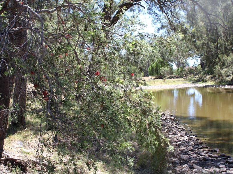 5743 Bruxner Hwy, Tenterfield NSW 2372