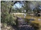 5743 Bruxner Hwy, Tenterfield NSW 2372