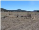 5743 Bruxner Hwy, Tenterfield NSW 2372