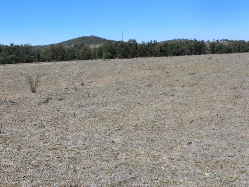 5743 Bruxner Hwy, Tenterfield NSW 2372