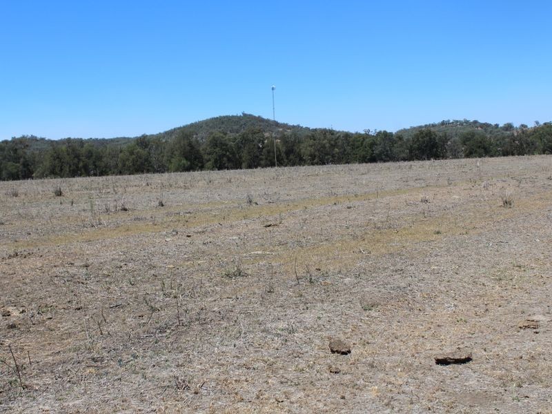 5743 Bruxner Hwy, Tenterfield NSW 2372