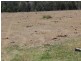 5743 Bruxner Hwy, Tenterfield NSW 2372