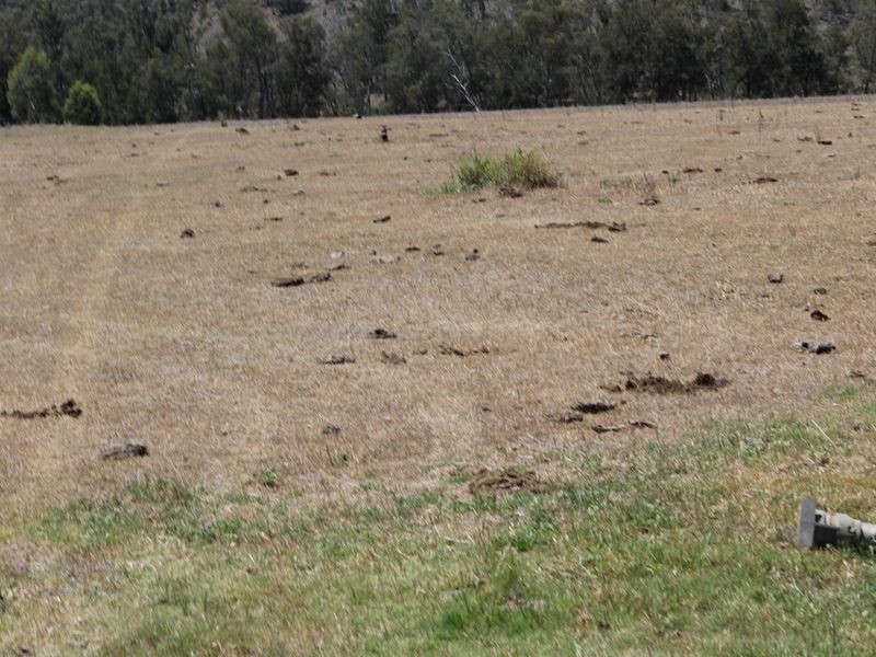5743 Bruxner Hwy, Tenterfield NSW 2372