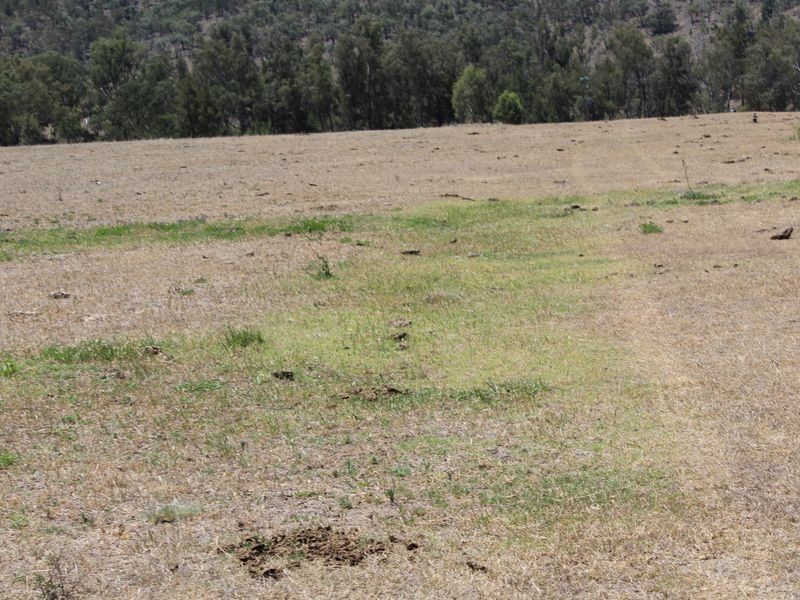 5743 Bruxner Hwy, Tenterfield NSW 2372
