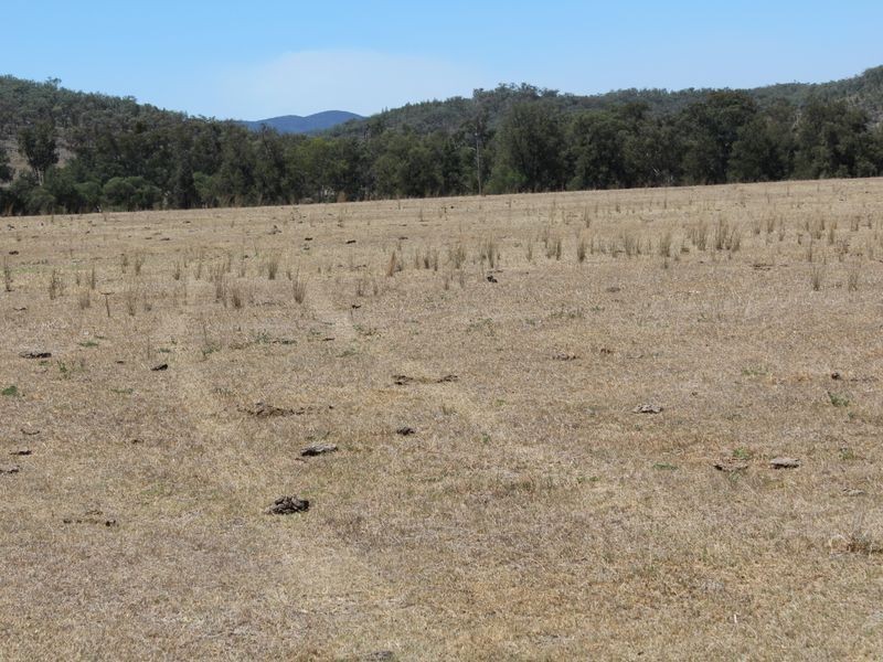 5743 Bruxner Hwy, Tenterfield NSW 2372