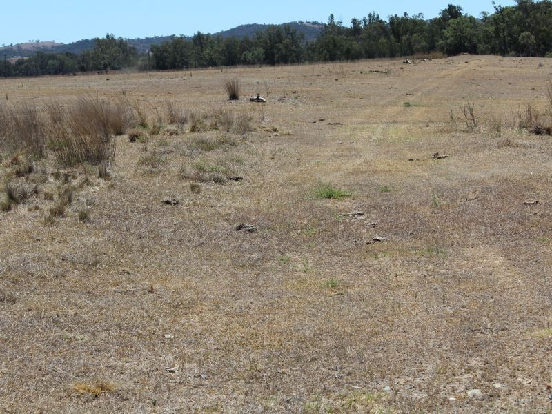 5743 Bruxner Hwy, Tenterfield NSW 2372