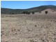 5743 Bruxner Hwy, Tenterfield NSW 2372