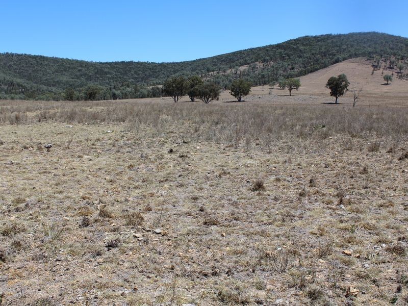 5743 Bruxner Hwy, Tenterfield NSW 2372