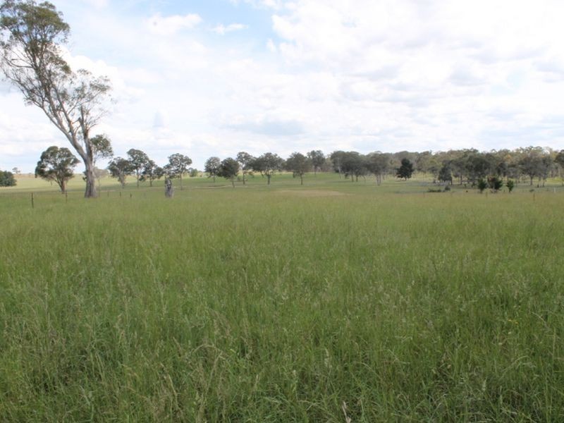 151 Whitmore Rd, Glen Innes NSW 2370