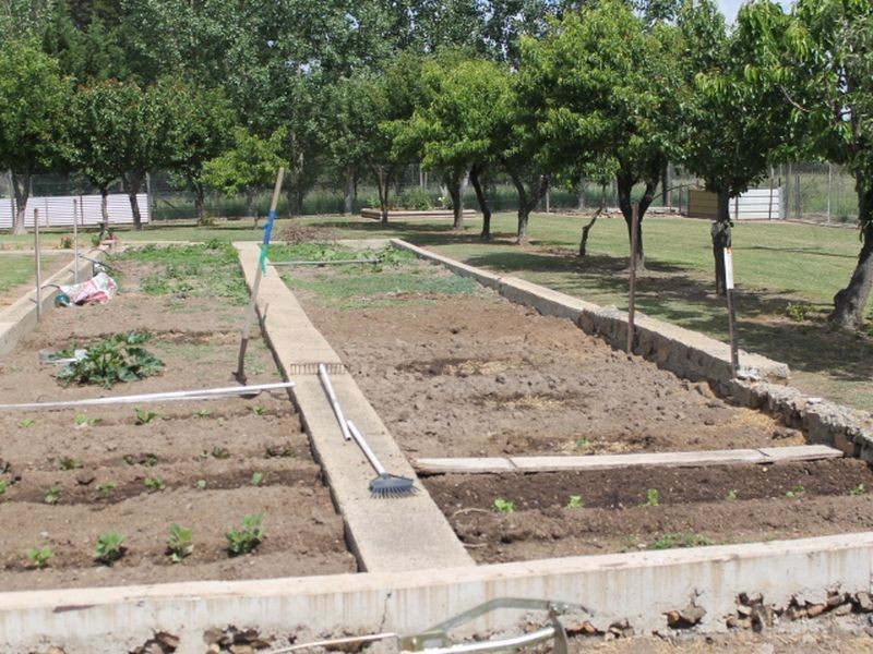 151 Whitmore Rd, Glen Innes NSW 2370