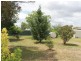 48 Dundee Street, Deepwater NSW 2371