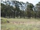 Strathbogie Road, Emmaville NSW 2371